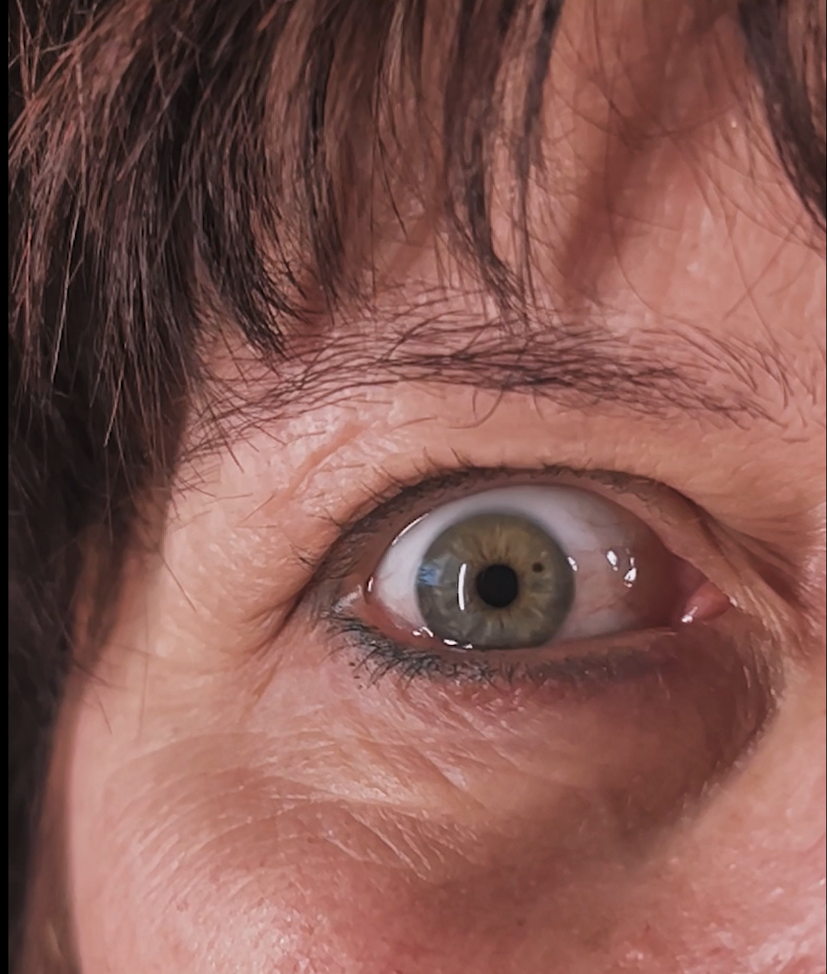 Evolution of Emotion